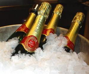 yapboz Şampanya (veya şampanya) Fransız şampanya, Champagne bölgesi, Fransa yöntemi Champenoise tarafından üretilen köpüklü şarap türüdür.